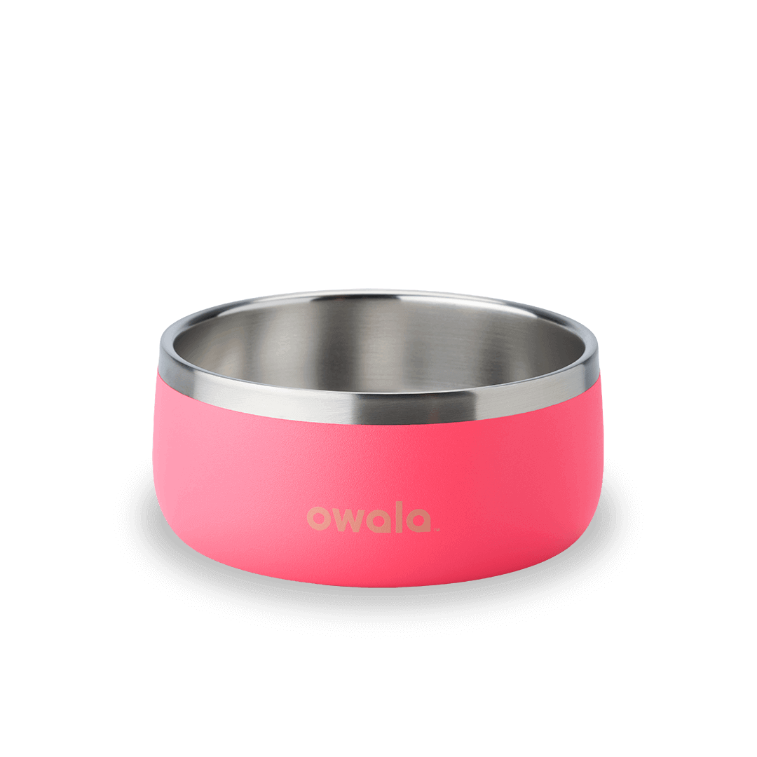 Owala pink 3 cup stainless steel pet bowl